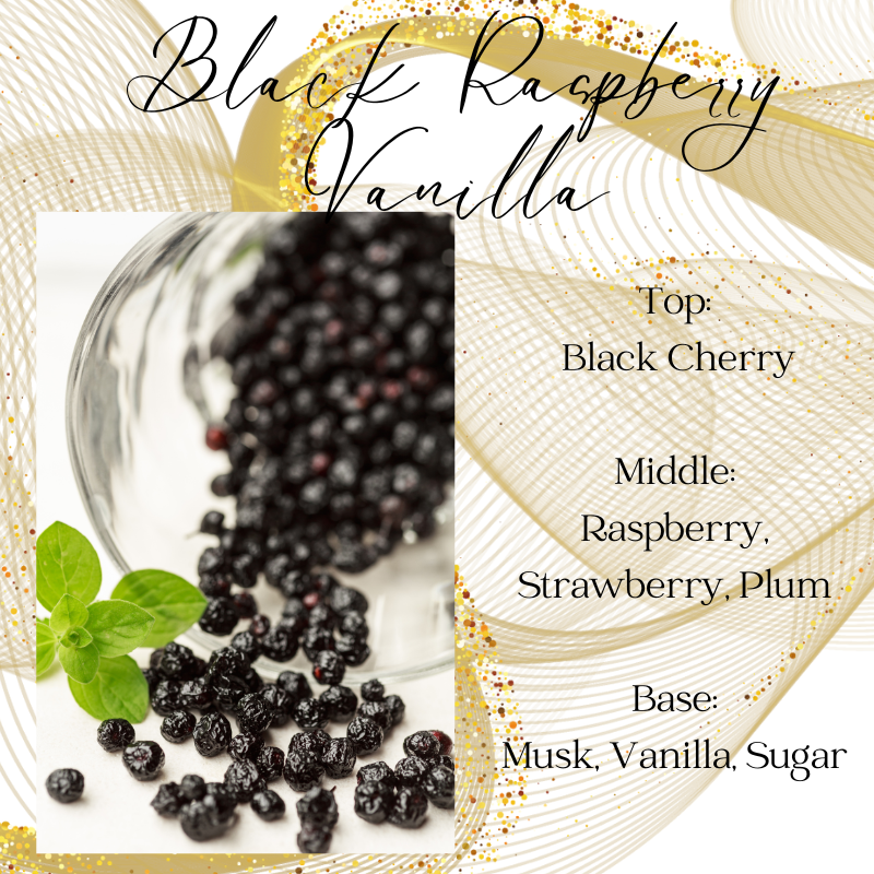 Black Raspberry Vanilla Gel Wax Melts