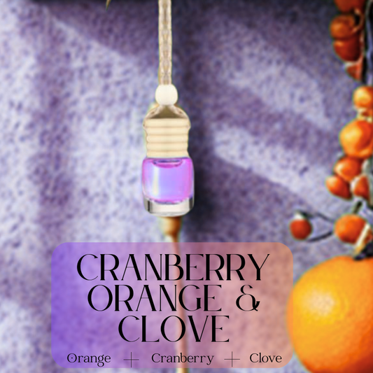 Orange Cranberry Clove Car Reed Diffuser