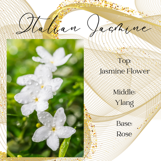 Italian Jasmine Car Reed Diffuser