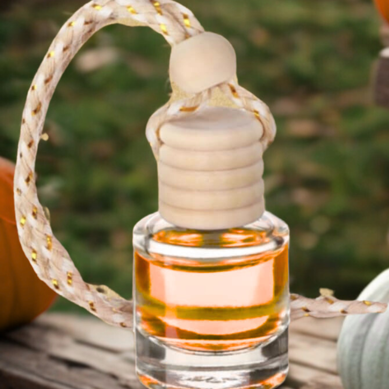 Pumpkin Spice Car Reed Diffuser
