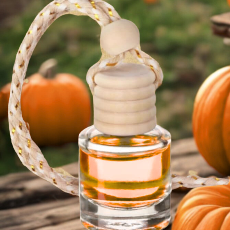 Pumpkin Spice Car Reed Diffuser